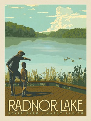 Radnor Lake: Summer