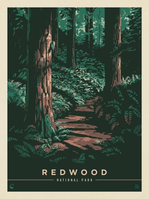 Redwood National Park: Splendor