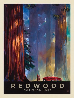 Redwood National Park: Among the Giants