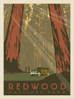 Redwood National Park