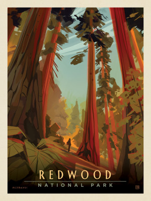 Redwood National Park: Whispering Wind