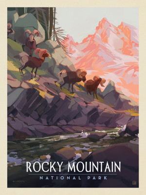 Rocky Mountain National Park: Bighorn Sheep Herd