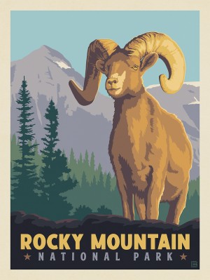 Rocky Mountain National Park: Bighorn Sheep