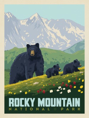 Rocky Mountain National Park: Black Bears