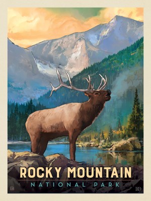 Rocky Mountain National Park: Bull Elk