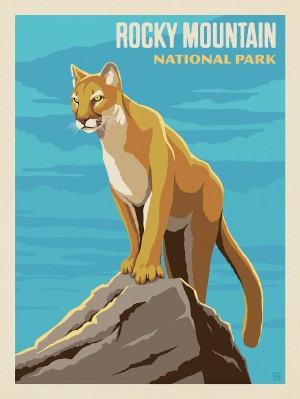 Rocky Mountain National Park: Cougar