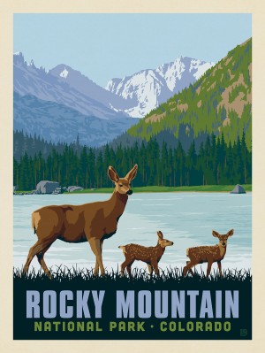 Rocky Mountain National Park: Deer Family