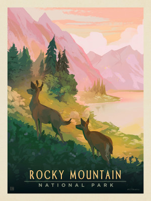 Rocky Mountain National Park: Deer