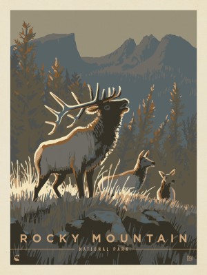 Rocky Mountain National Park: Elk Herd