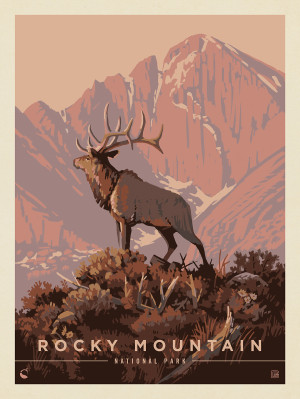 Rocky Mountain National Park: Lone Elk