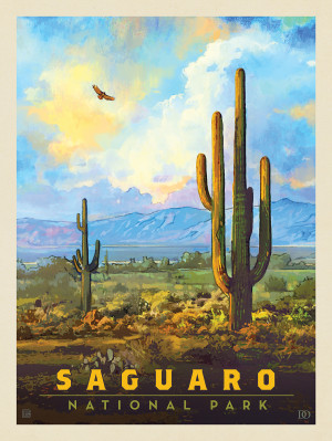 Saguaro National Park: Desert Daybreak