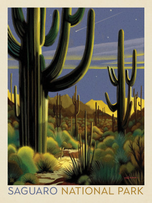 Saguaro National Park: Twilight