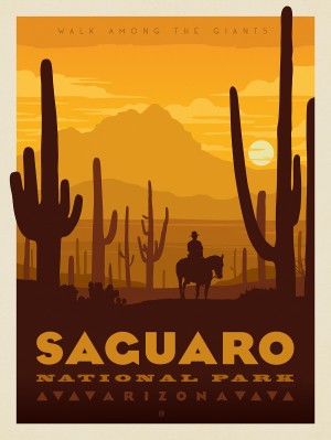 Saguaro National Park