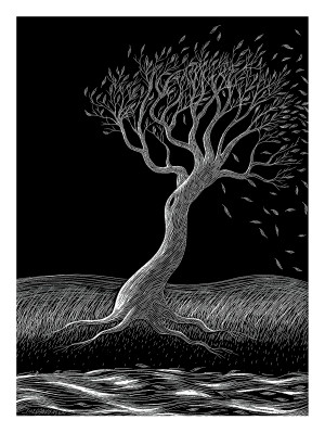 Scratchboard: Windswept