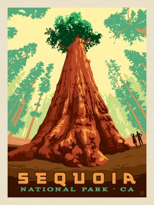 Sequoia National Park: At the Foot of Sherman