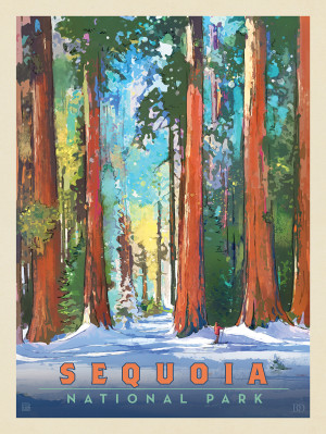 Sequoia National Park: Fresh Snow