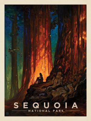Sequoia National Park: Nature's Cathedral-KC