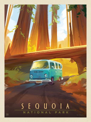 Sequoia National Park: Through The Trees