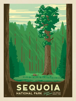 Sequoia National Park