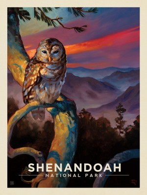 Shenandoah National Park: Barred Owl-KC