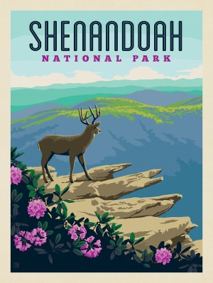 Shenandoah National Park: Hawksbill Mountain