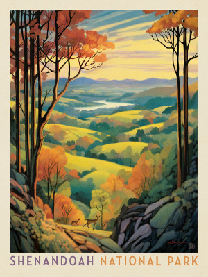 Shenandoah National Park: Rolling Hills