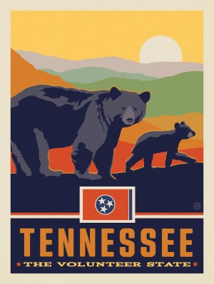 Tennessee State Pride (Black Bears)