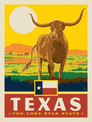 Texas State Pride