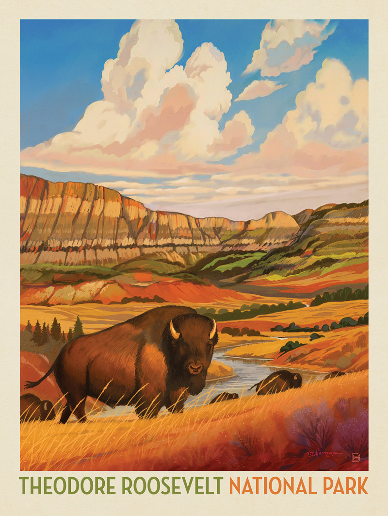 Theodore Roosevelt National Park: Bison Country