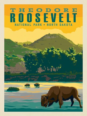 Theodore Roosevelt National Park: Bison