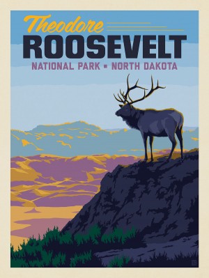 Theodore Roosevelt National Park: Elk