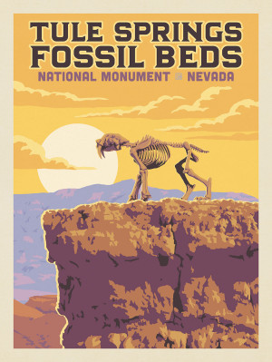 Tule Springs Fossil Beds National Monument, NV: Saber Tooth Tiger