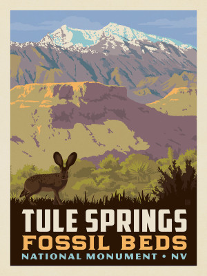 Tule Springs Fossil Beds National Monument, NV