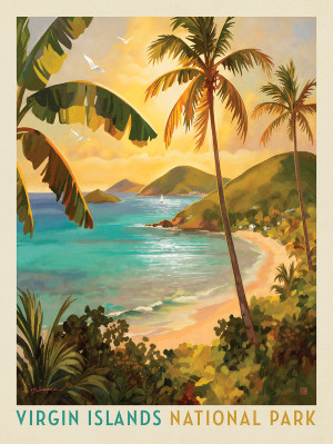 Virgin Islands National Park: Shimmering Shoreline