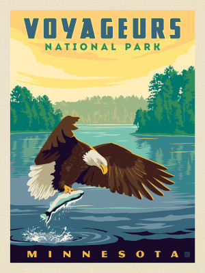Voyageurs National Park: Sunset Eagle