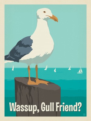 Wassup, Gull Friend?