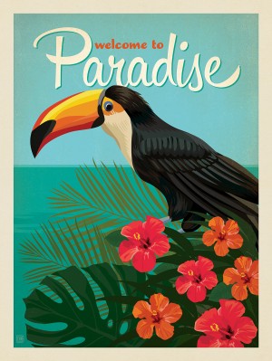 Welcome To Paradise: Toucan