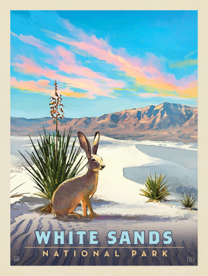 White Sands National Park: Jack Rabbit