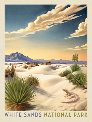 White Sands National Park: Sun Bathing Lizard