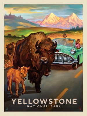 Yellowstone National Park: Bison Crossing-KC