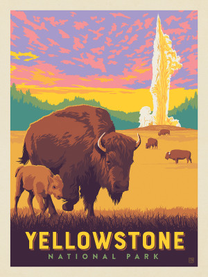 Yellowstone National Park: Old Faithful Bisons