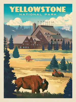 Yellowstone National Park: Old Faithful Inn Bisons