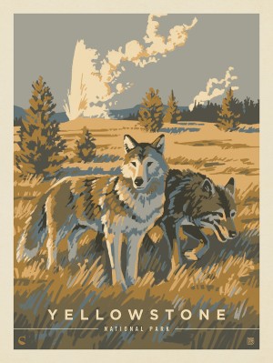 Yellowstone National Park: Wandering Wolves
