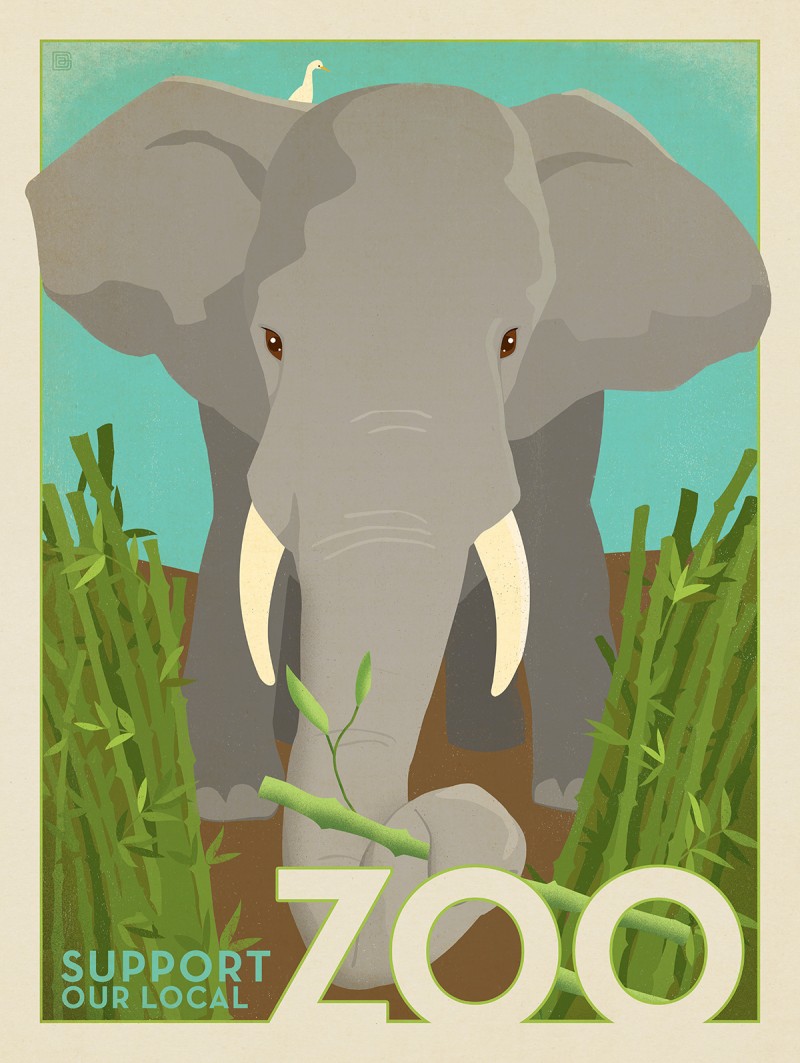 Zoo: Elephant