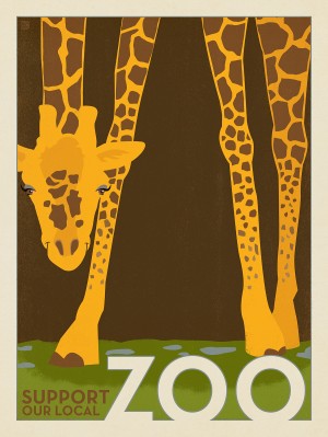 Zoo: Giraffe