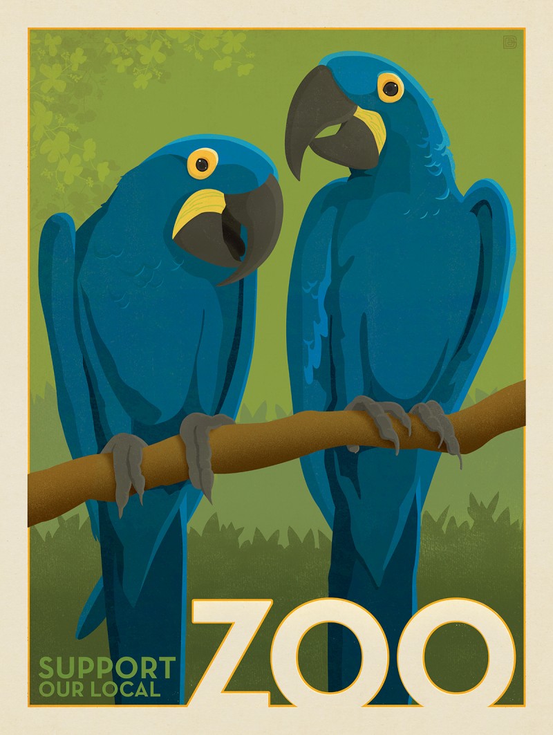 Zoo: Maccaws