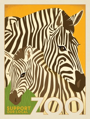 Zoo: Zebras