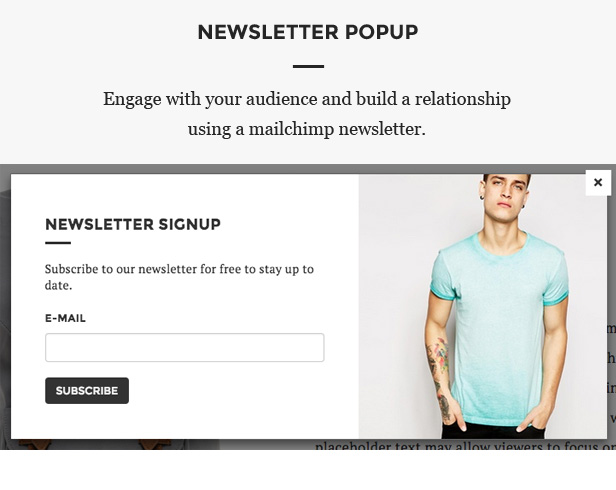 Santo Shopify Theme - Newsletter Popup