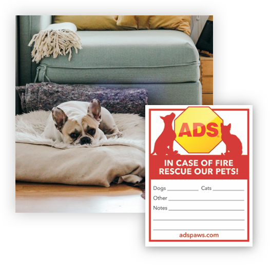 Protect Your Pets