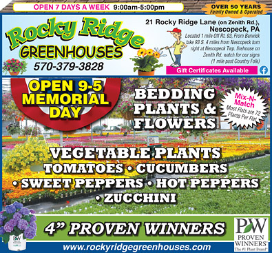 Advertisement Advertisement